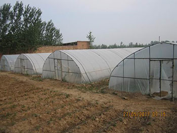 |ع繩ʲôӵĸƷNܚgӭ