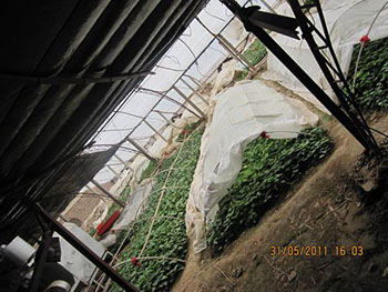 tƷNȫNֲʲôtõعl(f)