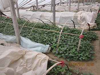 2018r(nng)I(y)NֲǂtƷNX