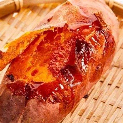 哪里煙薯25紅薯苗好山東煙薯25紅薯苗批發