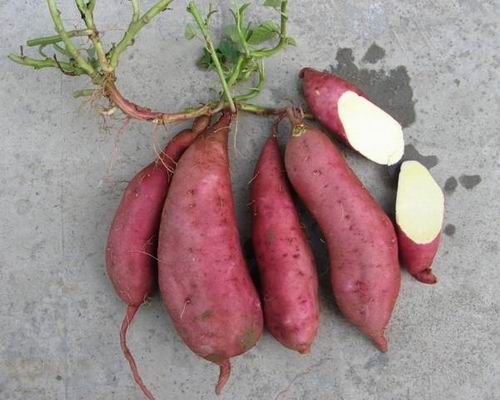 2018NֲķN߮a߮at]25